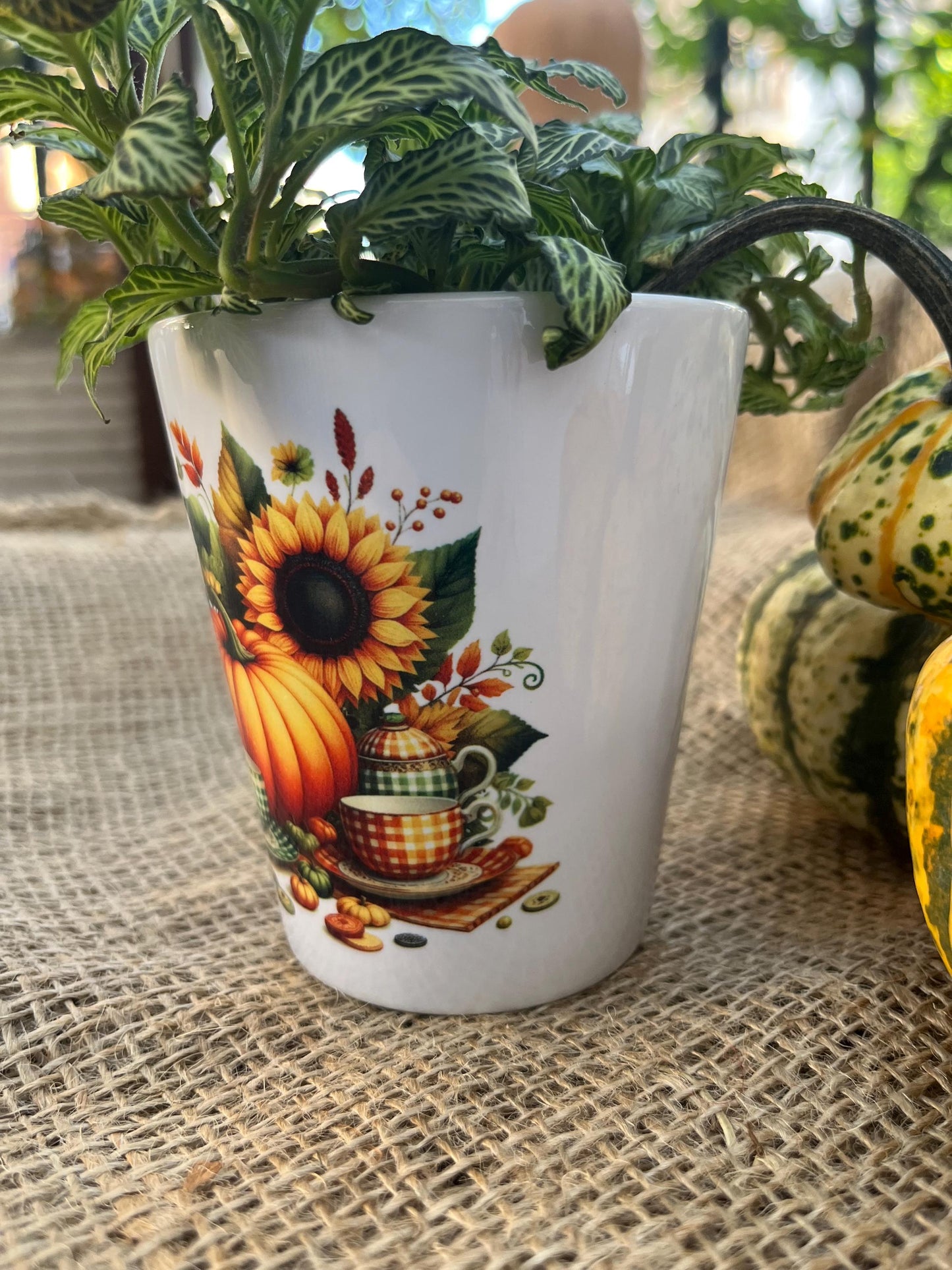 Vaso Conico in ceramica con Zucche