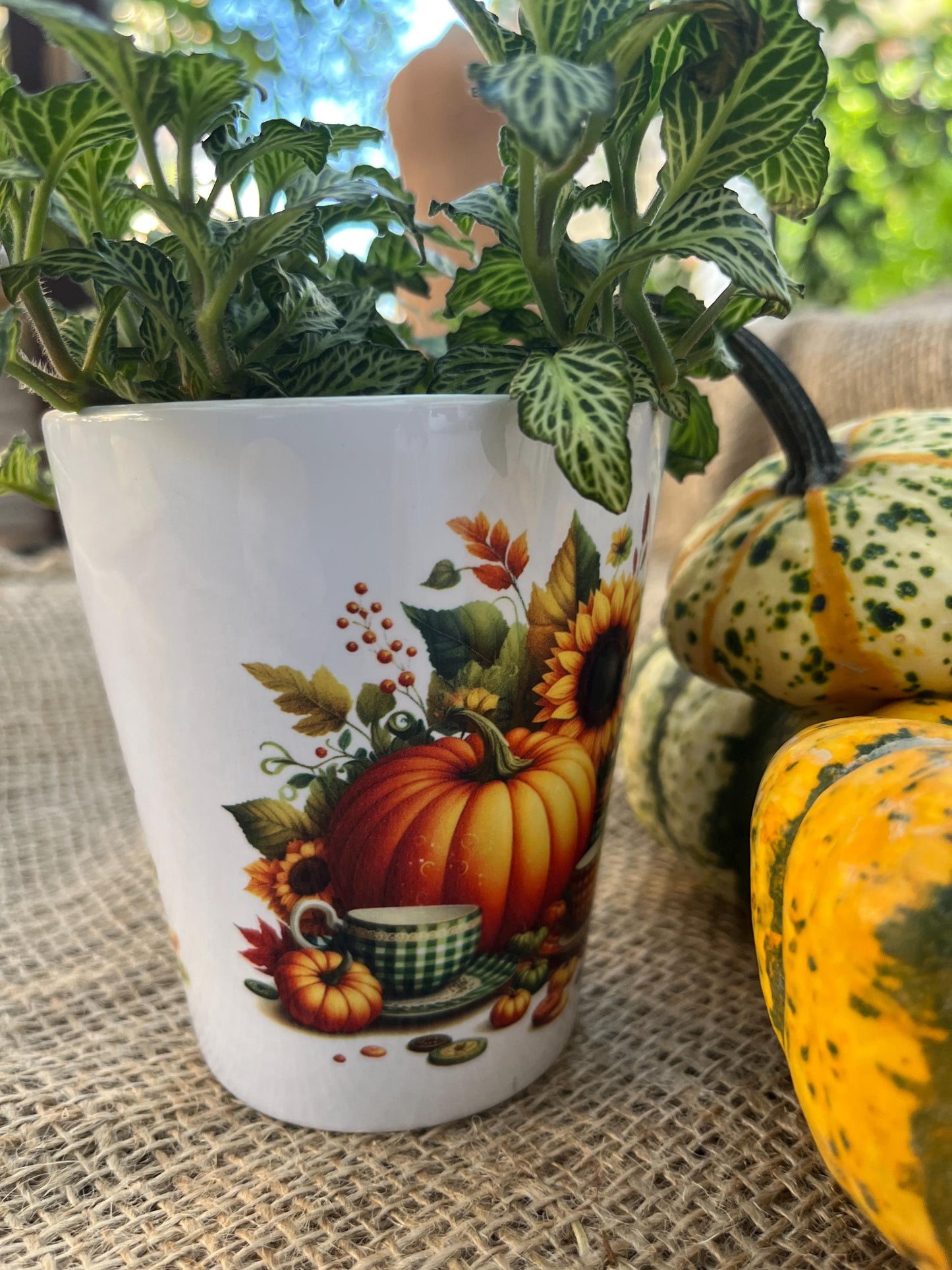 Vaso Conico in ceramica con Zucche